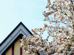 -颐和路民国时期公馆-风貌区