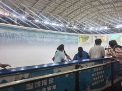 -世界之窗阿尔卑斯冰雪世界