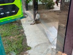-灵玲国际马戏城