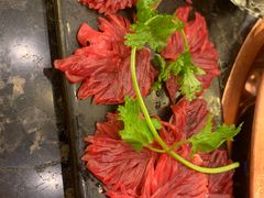 -老码头火锅(玉林店)