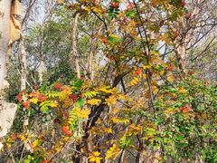 -白草畔自然风景区