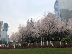 -重庆市江北嘴中央商务区中央公园