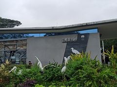 -深圳湾公园(南山区)