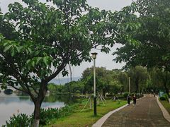 -飞来湖湿地公园