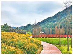 -广州市石门国家森林公园