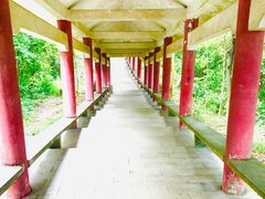 -天鹿湖森林公园