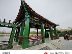 -莲花池公园