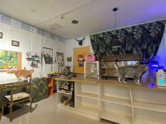 -平行世界·猫咖(首经贸店)