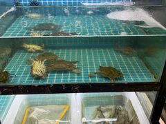 -吉香碳烤生蚝(仙霞路店)