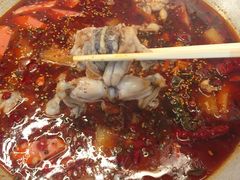 -靓蛙馆