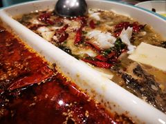 -姚姚酸菜鱼·金戈戈香港豉油鸡(喜荟城联名店)