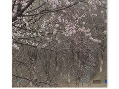 -河北省园博园