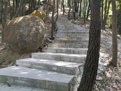 -火炉山森林公园