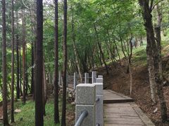 -崂山巨峰游览区