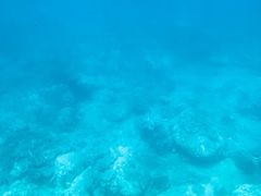 -亚龙湾海底世界