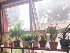 -北京龙庆四季香农家饭庄·灶台鱼·碳烤虹鳟鱼(龙庆峡店)