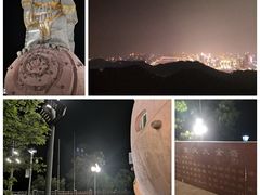 -大金鹰园