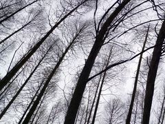 -山王坪喀斯特国家生态公园