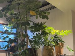 -自如ZSPACE四合院艺术餐厅