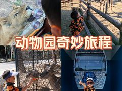 -大连森林动物园