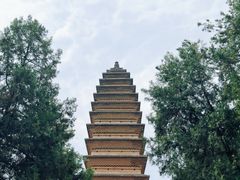 -洛阳白马寺