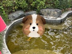 -太白山御龙湾温泉