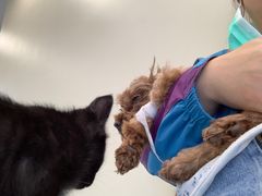 -萌兽医馆·犬猫专科·眼科中心·宠物医院(朝阳门分院)
