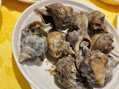 海螺-老字号蛇口德记烧腊饭店·海鲜加工