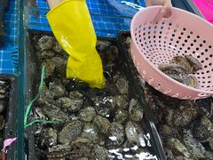 -鸿港海鲜批发市场