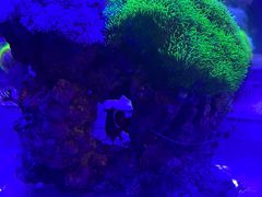 -海合安青岛极地海洋公园
