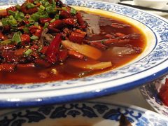 -院8里·少城记忆老川菜(宽窄巷子店)