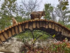 -北京野生动物园