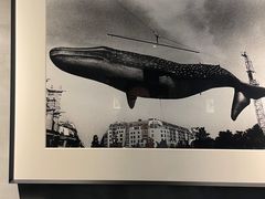 -元白和创园展厅