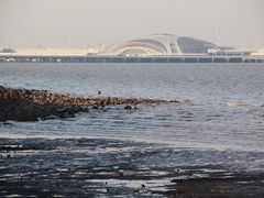 -上海吴淞炮台湾国家湿地公园