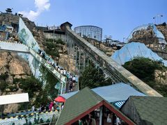 -西霞口神雕山野生动物世界