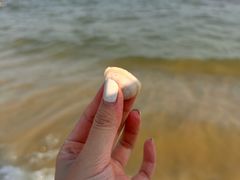-玫瑰海岸文化旅游度假区