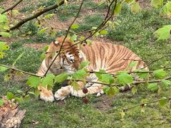 -西霞口神雕山野生动物世界