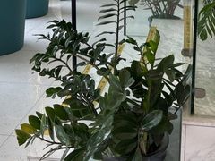 -华齿口腔·矫正种植中心(松江环城路店)