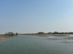 -泗洪洪泽湖湿地景区