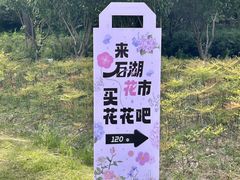 -石湖景区