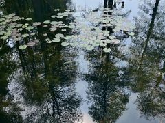 -东湖生态旅游风景区