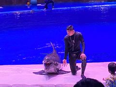 -华夏文旅海洋公园