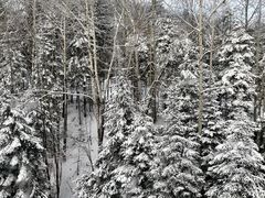 -长白山万达国际滑雪场