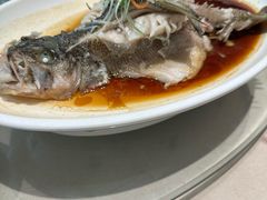 -普天和酒楼(天津之眼店)