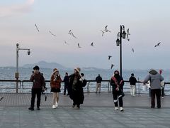 -东港音乐喷泉广场