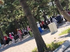 -长春市南湖公园