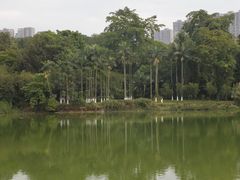 -广西壮族自治区药用植物园