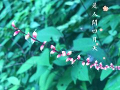 -清江方山景区
