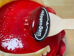 600g花意爱浓蛋糕冰淇淋-哈根达斯(SM店)