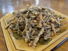 油炸鳝鱼骨-乐山第一家临江鳝丝(茶坊路店)